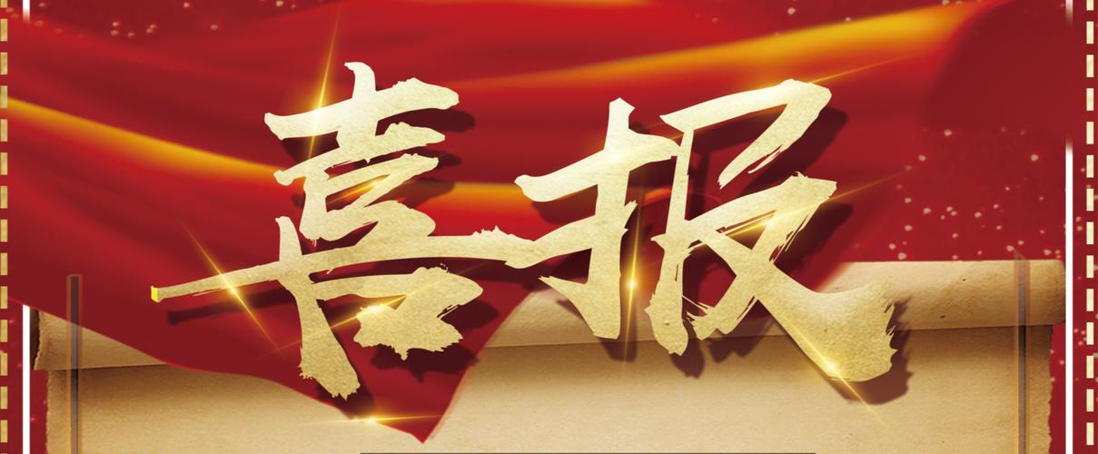 如何有效利用蜘蛛池提升排名